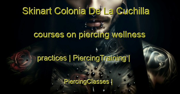 Skinart Colonia De La Cuchilla courses on piercing wellness practices | PiercingTraining | PiercingClasses | SkinartTraining-Mexico